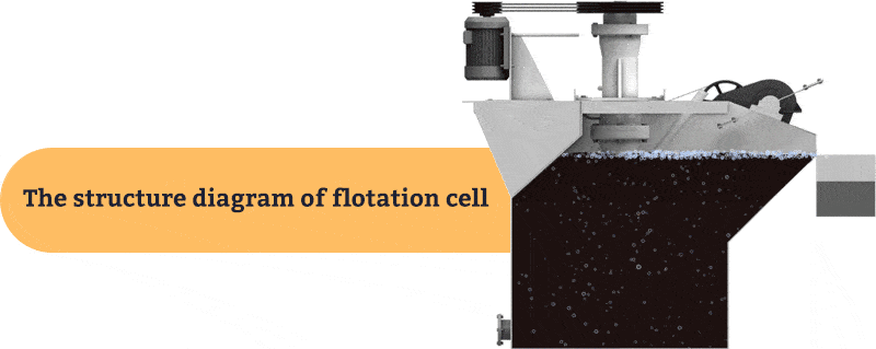 The structure diagram of flotation cell