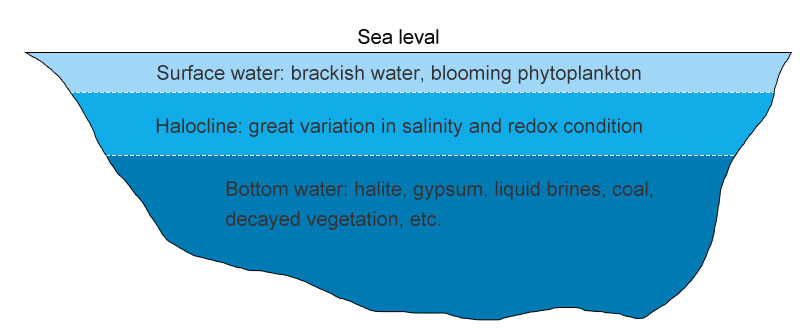 formation of gypsum